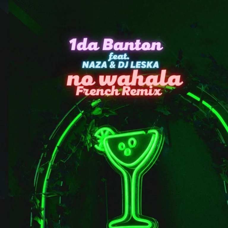 1da Banton – No Wahala (French Remix)