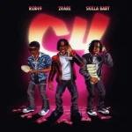 2Rare ft. Skilla Baby & Rob49 – C4
