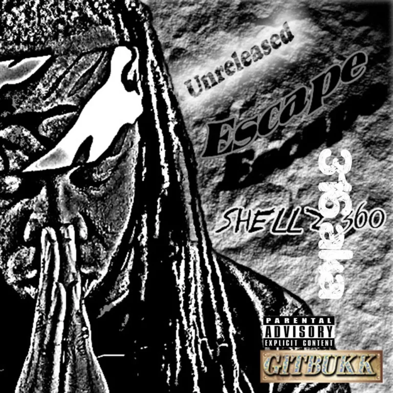 316 aka Shellz 360 – Theory