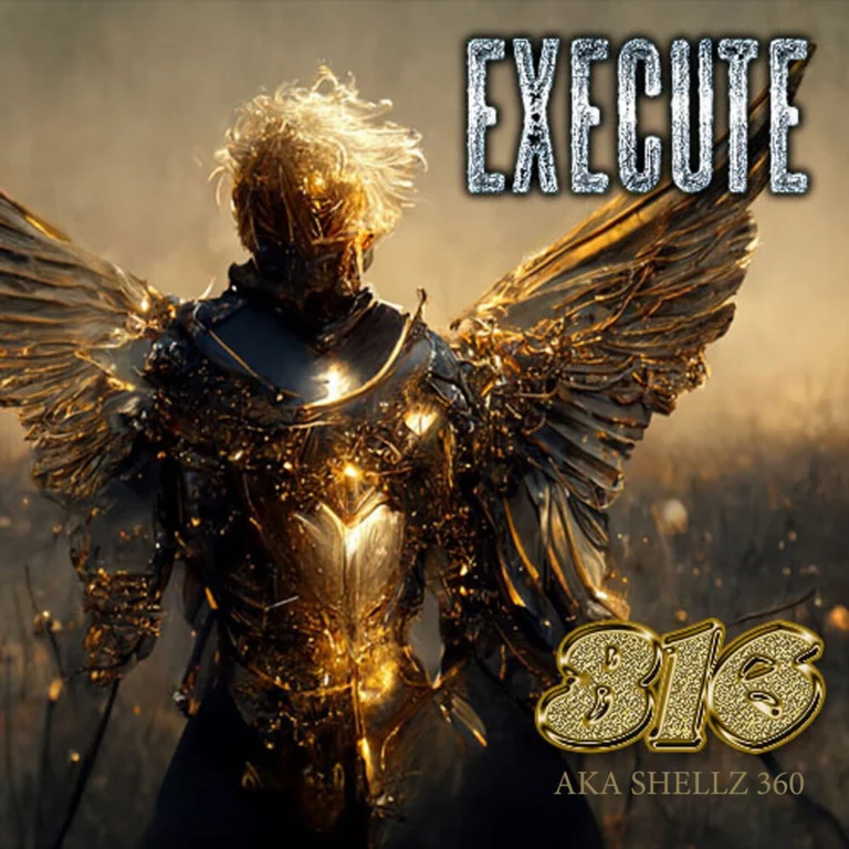 316 aka Shellz 360 – Execute