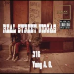 316 aka Shellz 360 – Real Street Niggas