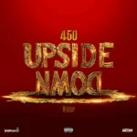 450 – Upside Down