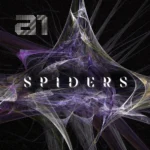 A1 – Spiders