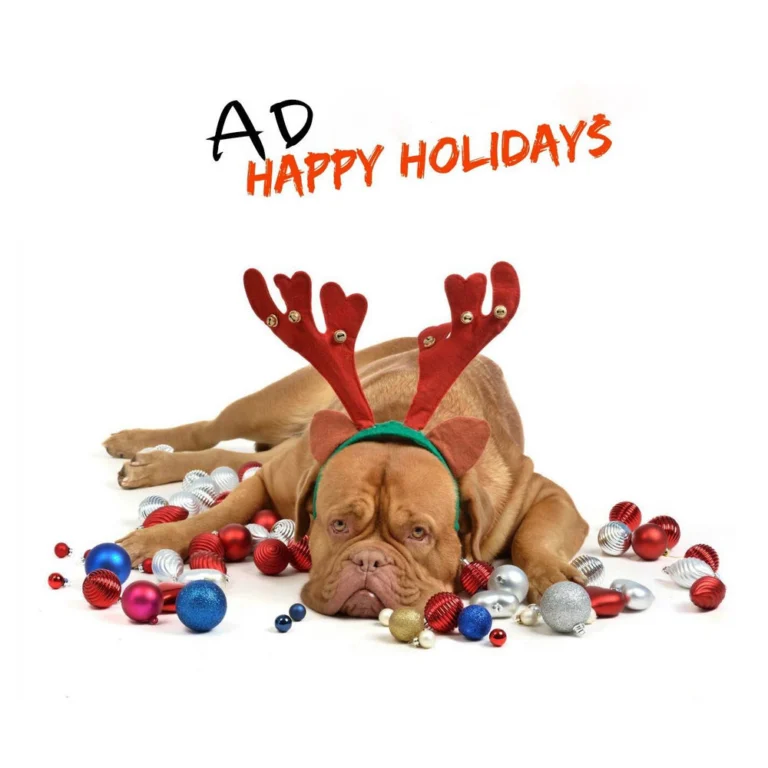 AD – Happy Holidays