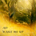 AD – Chrome