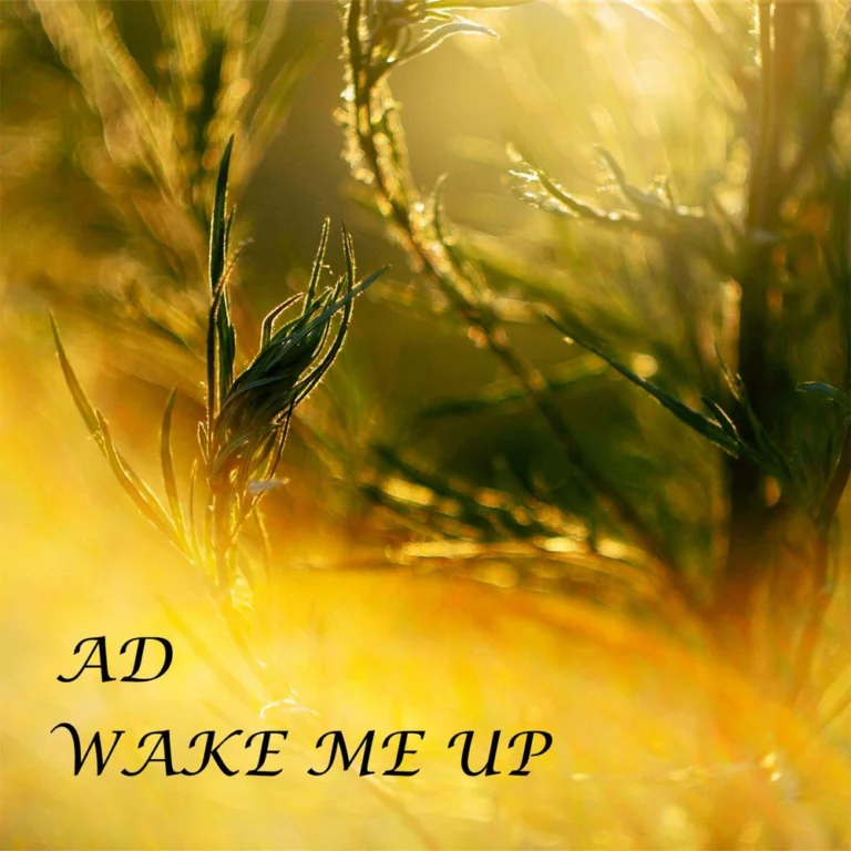 AD – Chrome