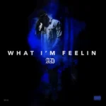 AD – What I’m Feelin