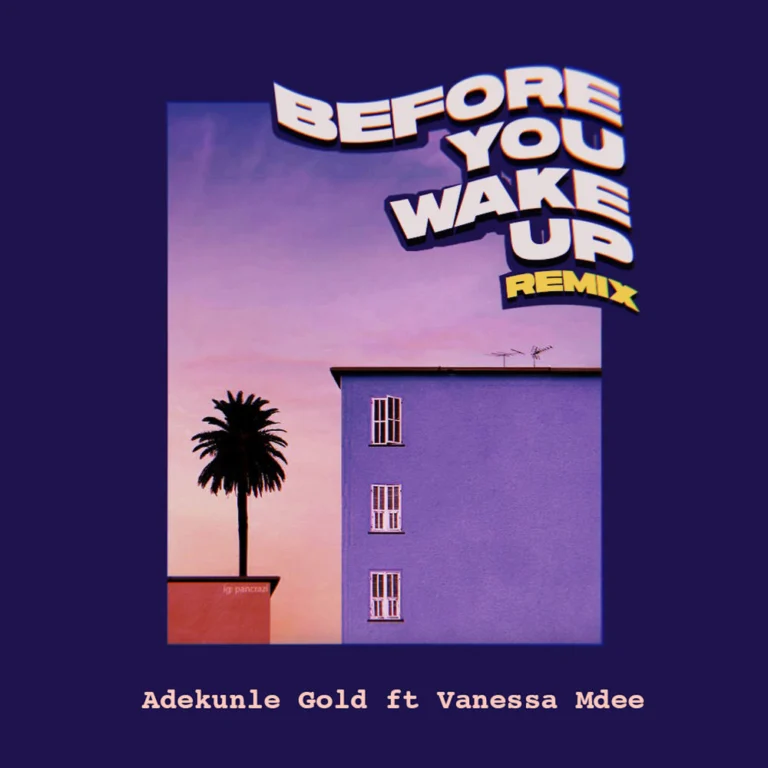 Adekunle Gold – Before You Wake Up (Remix)