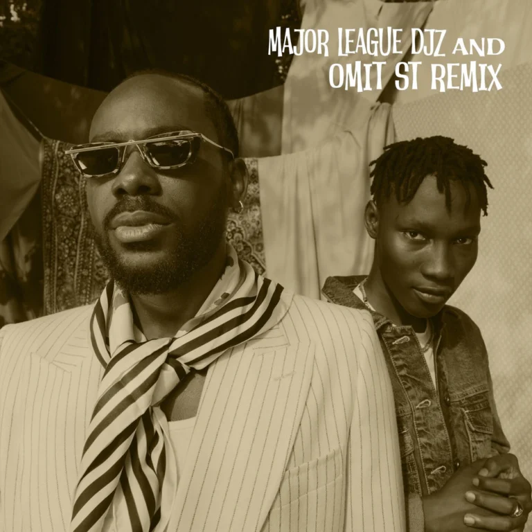 Adekunle Gold – Party No Dey Stop (Major League Djz and Omit ST Remix)