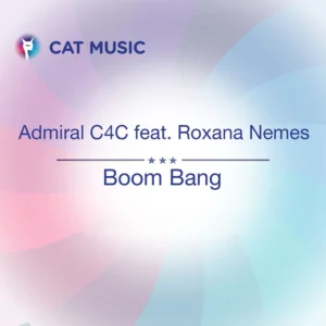 Admiral C4C