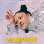 Aduanaba Kofi Antwi – AWARE FOOBI