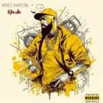 Afro Nation – Afro vibe