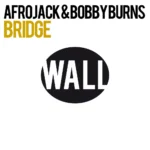 AFROJACK – Bridge