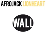 AFROJACK – Lionheart