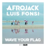 AFROJACK – Wave Your Flag