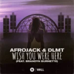 AFROJACK ft. Brandyn Burnette – Wish You Were Here