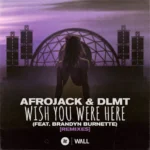 AFROJACK ft. Brandyn Burnette – Wish You Were Here (Karim Meknassi Remix)