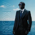 Akon – Right Now (Na Na Na)