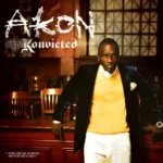Akon – Shake Down (Album Version)