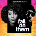 Aramide – Fall On Them