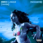Ayra Starr – Goodbye (Warm Up) (Chris Lake Remix)