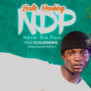 Dj Platinumz