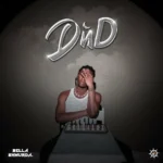 Bella Shmurda – NSV