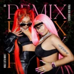 BIA ft. Nicki Minaj – WHOLE LOTTA MONEY (Remix)