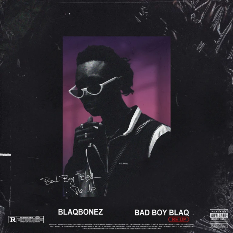 Blaqbonez – No Longer Stupid