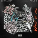 Burna Boy – Want It All