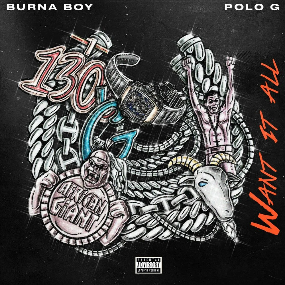 Burna Boy – Want It All