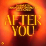 David Guetta ft. FAANGS – After You