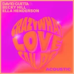 David Guetta – Crazy What Love Can Do (Acoustic)