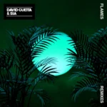 David Guetta – Flames (Robin Schulz Remix)