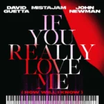 David Guetta – If You Really Love Me (How Will I Know) (Extended)