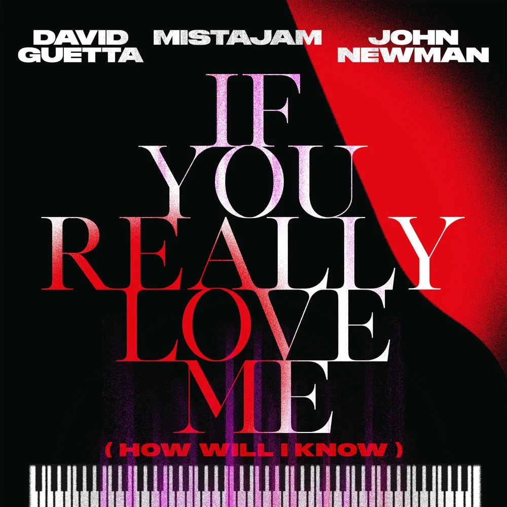David Guetta – If You Really Love Me (How Will I Know) (Extended)