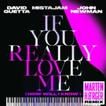 David Guetta – If You Really Love Me (How Will I Know) (Marten Hørger Remix)