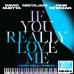 David Guetta – If You Really Love Me (How Will I Know) (MistaJam Remix)