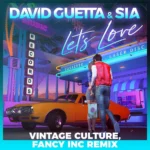 David Guetta ft. Sia – Let’s Love (Vintage Culture, Fancy Inc Remix)