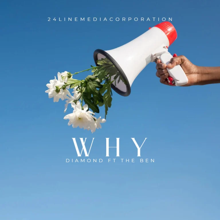 Diamond Platnumz – Why (cover)