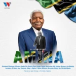 Diamond Platnumz – Amina (Ali Hassan Mwinyi)
