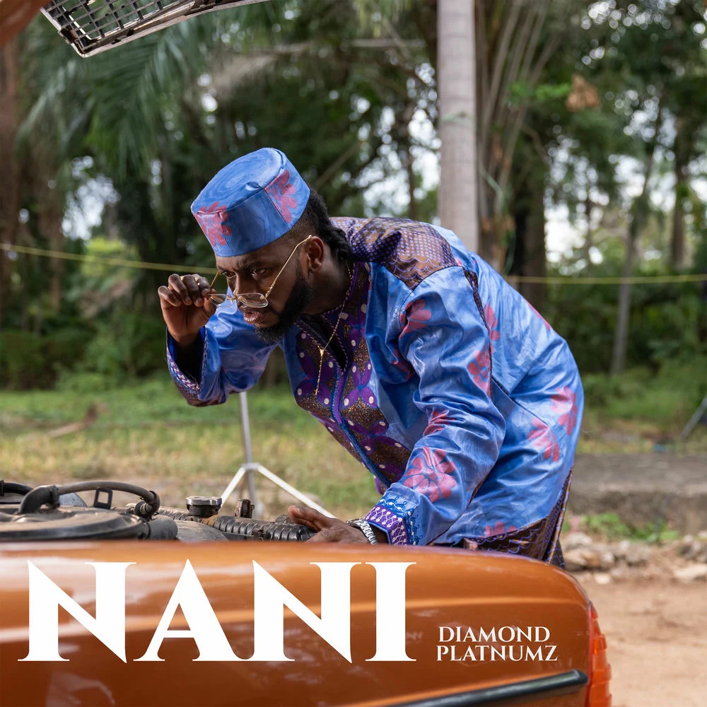 Diamond Platnumz – Nani