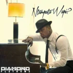 Diamond Platnumz – Ntampata Wapi