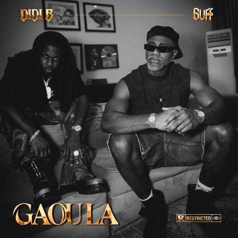 Didi B ft. 6uff – Gaou la