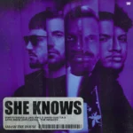 Dimitri Vegas & Like Mike ft. Akon – She Knows (Freejak Remix)