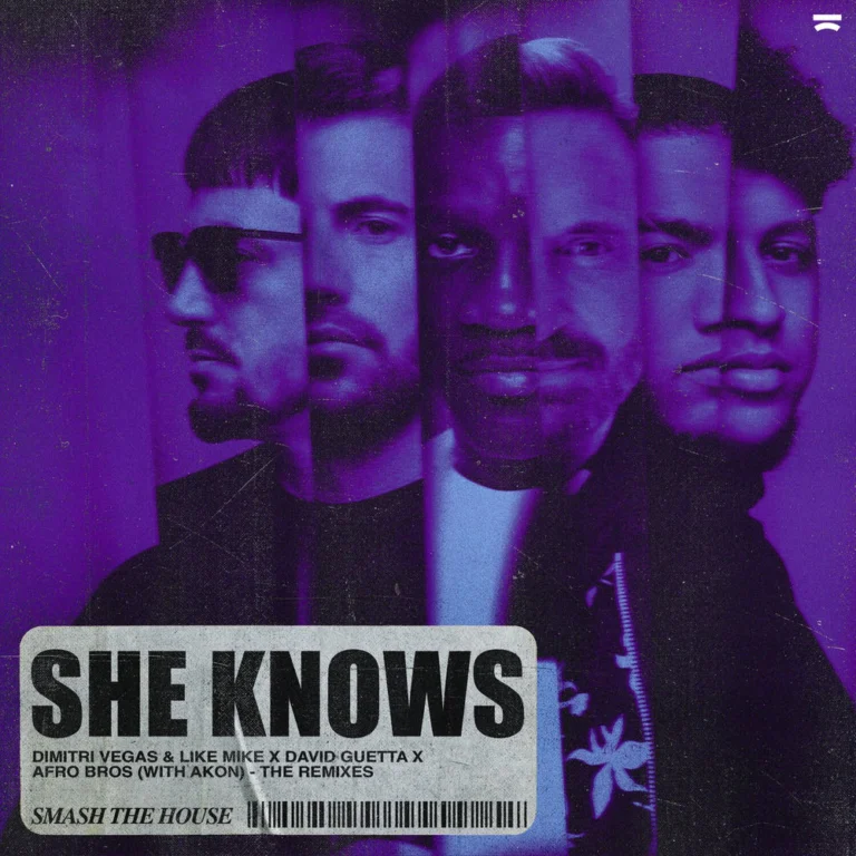 Dimitri Vegas & Like Mike ft. Akon – She Knows (Freejak Remix)
