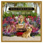 DJ Khaled ft. Rihanna & Bryson Tiller – Wild Thoughts (Bee’s Knees Dance Remix)