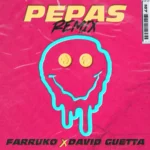 David Guetta – Pepas