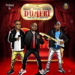 Fiokee – Dumebi