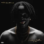 Fireboy DML – letting go
